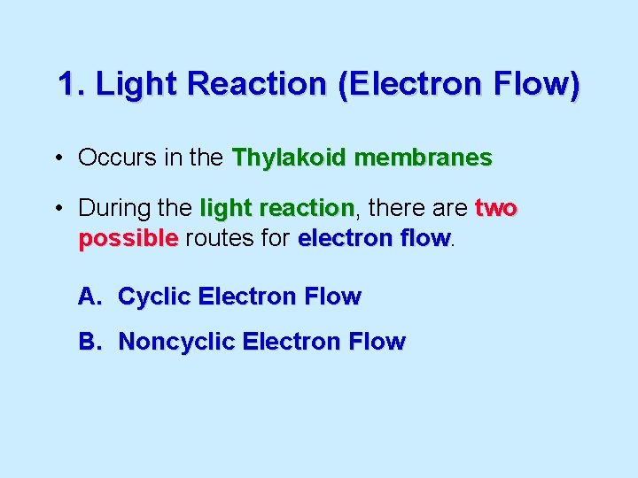 1. Light Reaction (Electron Flow) • Occurs in the Thylakoid membranes • During the