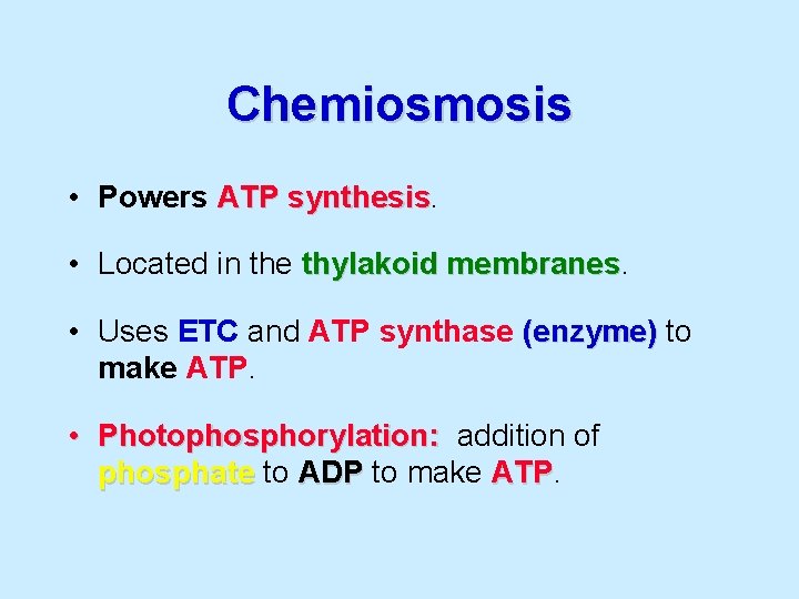 Chemiosmosis • Powers ATP synthesis • Located in the thylakoid membranes • Uses ETC