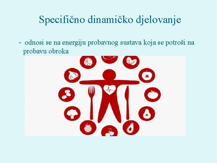 Specifično dinamičko djelovanje - odnosi se na energiju probavnog sustava koja se potroši na