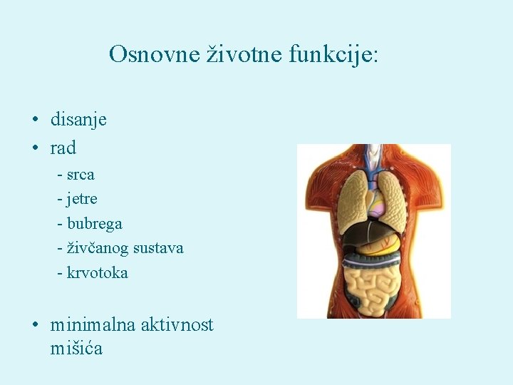 Osnovne životne funkcije: • disanje • rad - srca - jetre - bubrega -