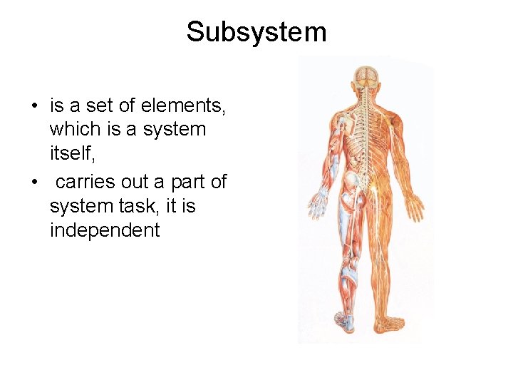Subsystem • is a set of elements, which is a system itself, • carries Subsystem • is a set of elements, which is a system itself, • carries
