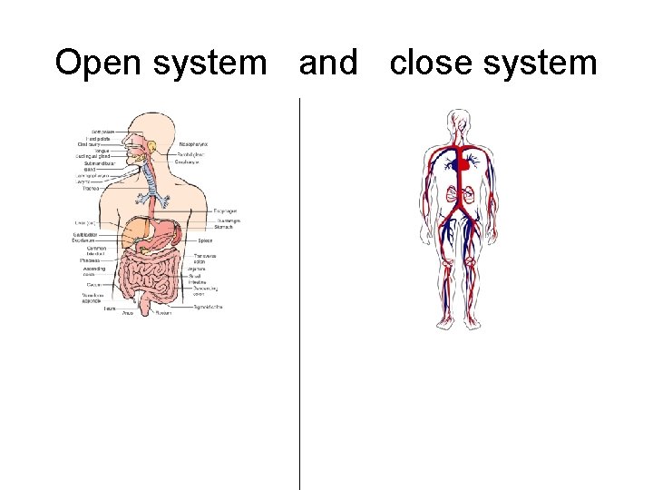 Open system and close system Open system and close system