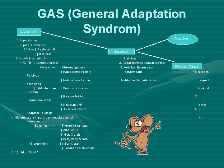 GAS (General Adaptation Syndrom) Reaksi Alarm 1. Hipotalamus 2. Hipofisis Posterior ↑ ADH →