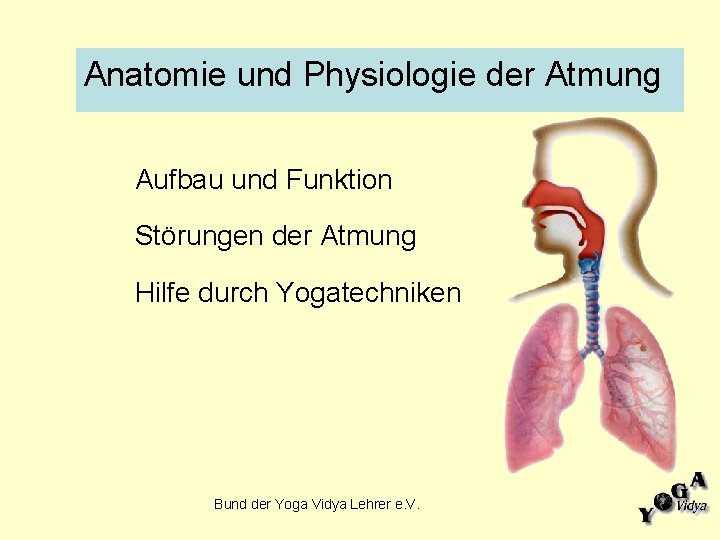 Anatomie und Physiologie der Atmung Aufbau und Funktion Störungen der Atmung Hilfe durch Yogatechniken