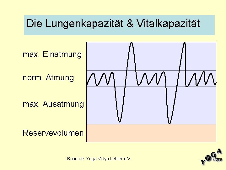 Die Lungenkapazität & Vitalkapazität max. Einatmung norm. Atmung max. Ausatmung Reservevolumen Bund der Yoga