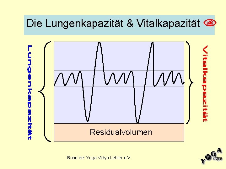 Die Lungenkapazität & Vitalkapazität Residualvolumen Bund der Yoga Vidya Lehrer e. V. 
