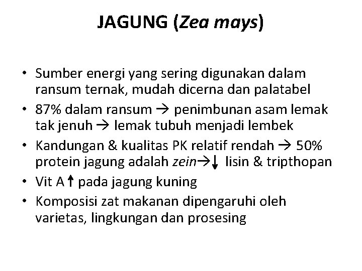 JAGUNG (Zea mays) • Sumber energi yang sering digunakan dalam ransum ternak, mudah dicerna