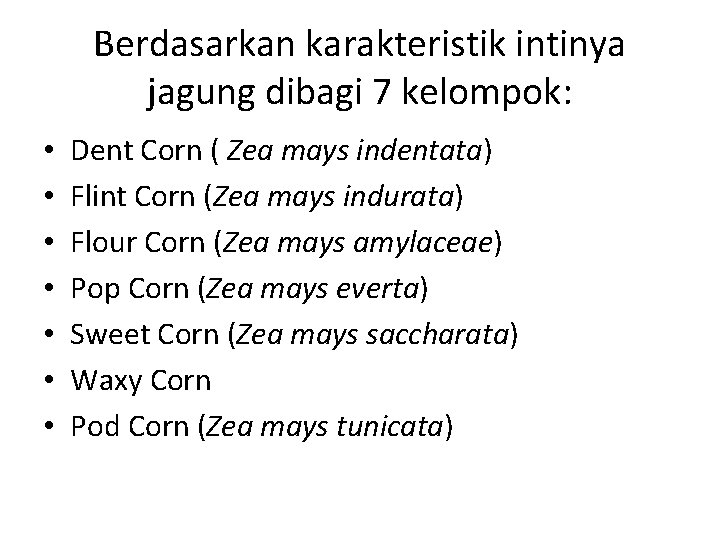 Berdasarkan karakteristik intinya jagung dibagi 7 kelompok: • • Dent Corn ( Zea mays