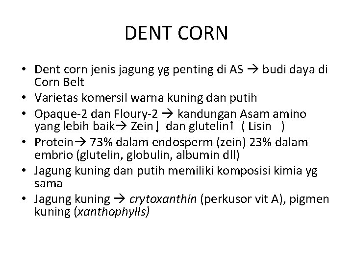 DENT CORN • Dent corn jenis jagung yg penting di AS budi daya di