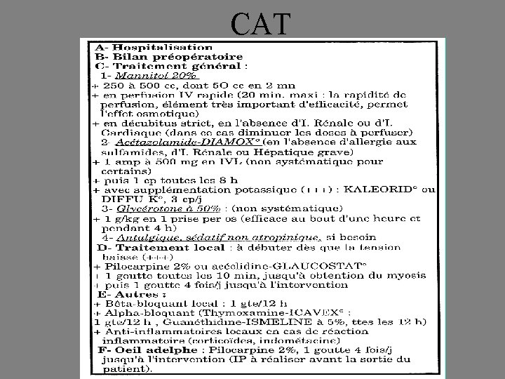 CAT 