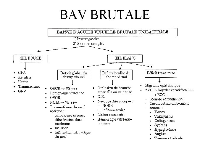 BAV BRUTALE 