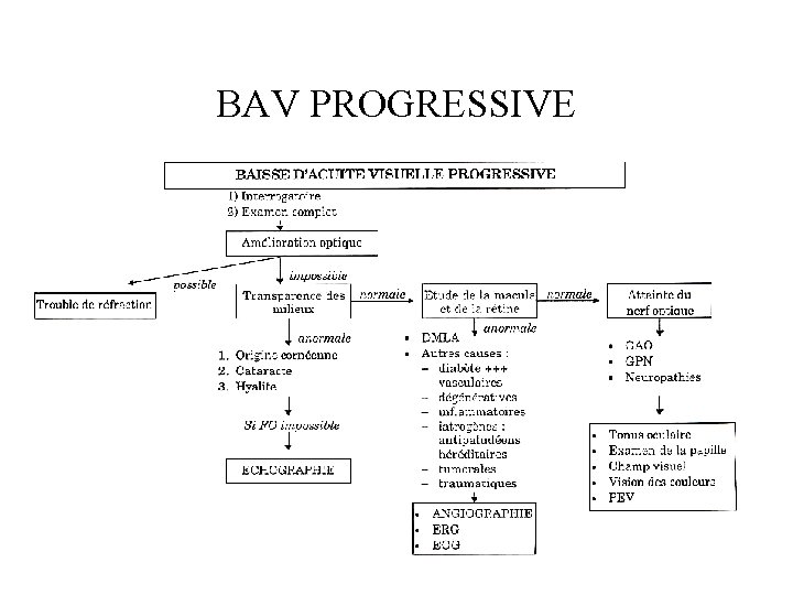 BAV PROGRESSIVE 