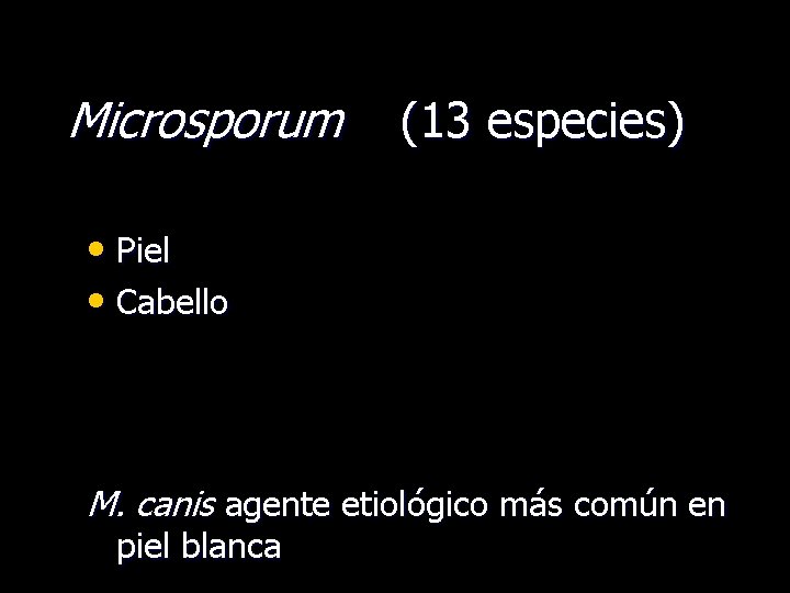 Microsporum (13 especies) • Piel • Cabello M. canis agente etiológico más común en