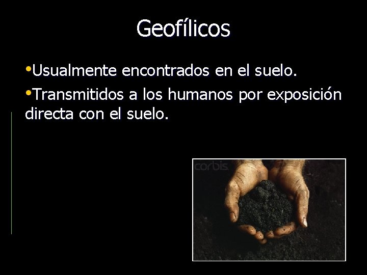 Geofílicos • Usualmente encontrados en el suelo. • Transmitidos a los humanos por exposición