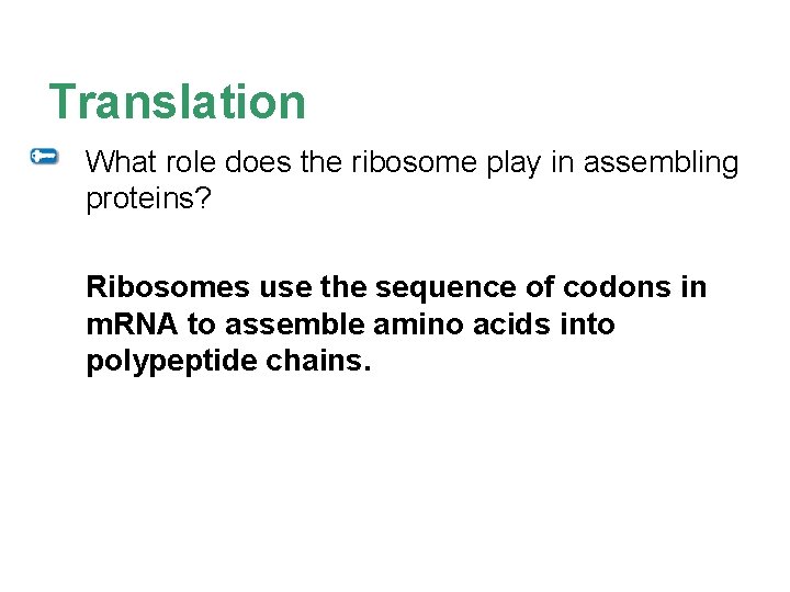 Translation What role does the ribosome play in assembling proteins? Ribosomes use the sequence