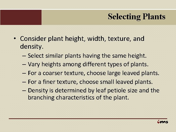 Selecting Plants • Consider plant height, width, texture, and density. – Select similar plants