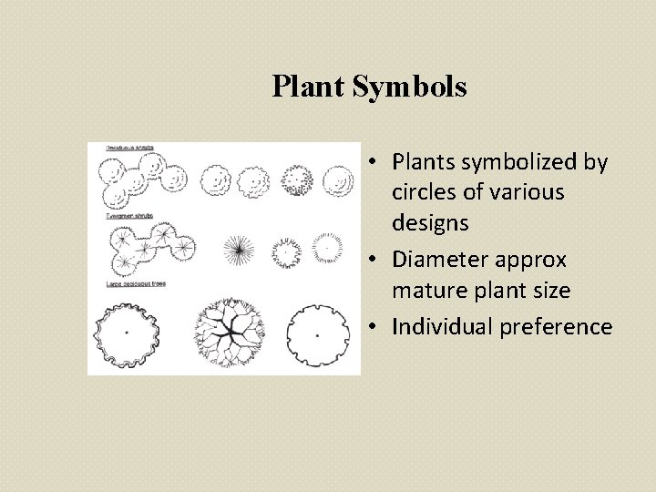 Plant Symbols • Plants symbolized by circles of various designs • Diameter approx mature