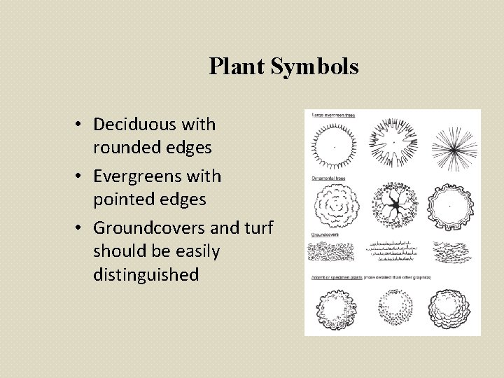 Plant Symbols • Deciduous with rounded edges • Evergreens with pointed edges • Groundcovers