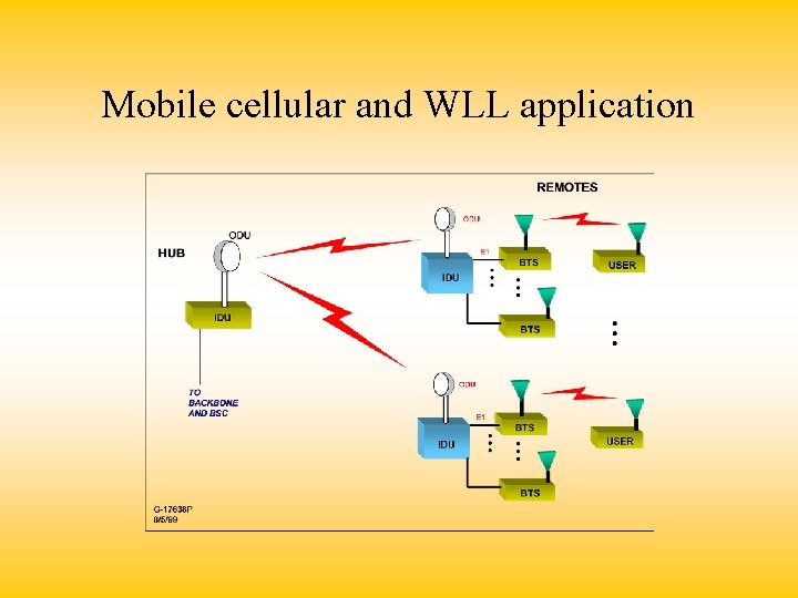 Mobile cellular and WLL application 