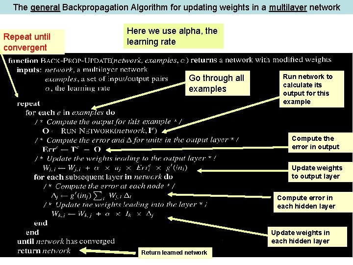 The general Backpropagation Algorithm for updating weights in a multilayer network Repeat until convergent The general Backpropagation Algorithm for updating weights in a multilayer network Repeat until convergent