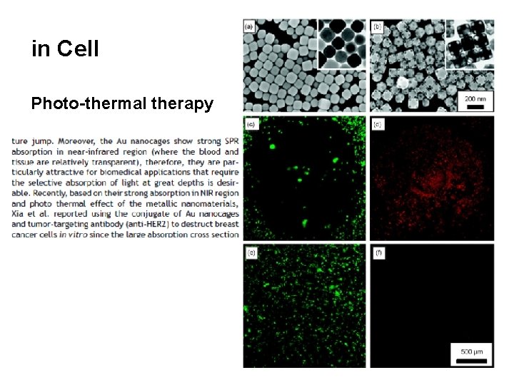 in Cell Photo-thermal therapy 