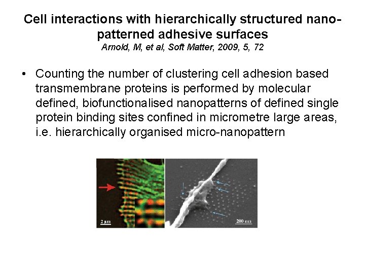 Cell interactions with hierarchically structured nanopatterned adhesive surfaces Arnold, M, et al, Soft Matter,