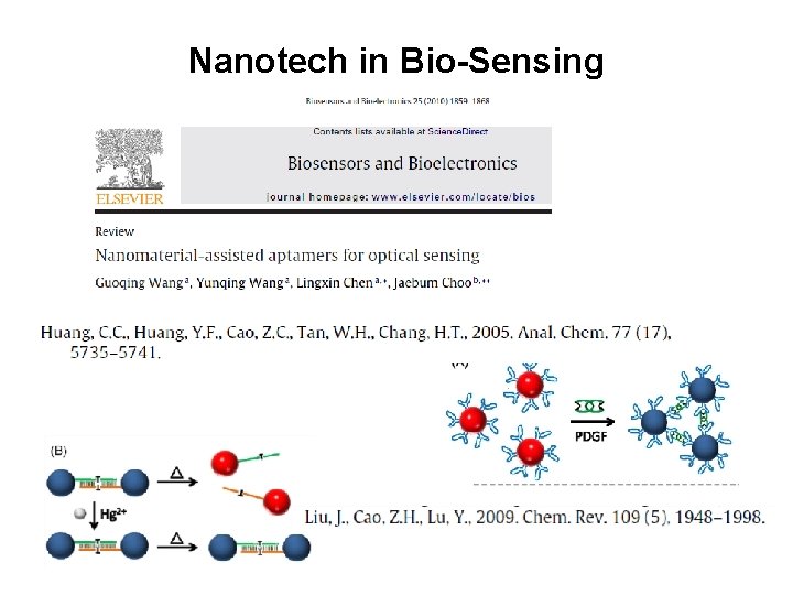 Nanotech in Bio-Sensing 