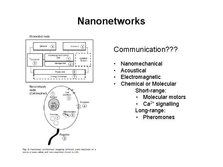 Nanonetworks Communication? ? ? • • Nanomechanical Acoustical Electromagnetic Chemical or Molecular Short-range: •