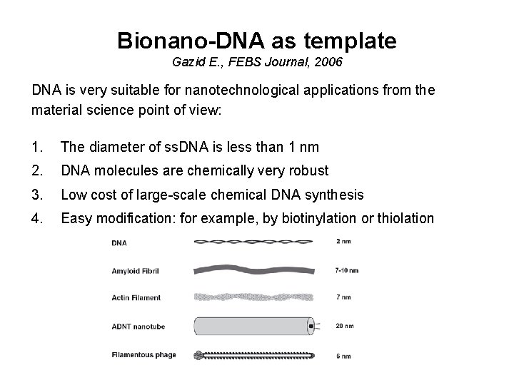 Bionano-DNA as template Gazid E. , FEBS Journal, 2006 DNA is very suitable for