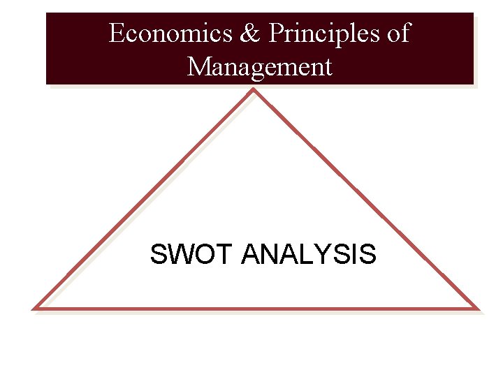 Economics & Principles of Management SWOT ANALYSIS 