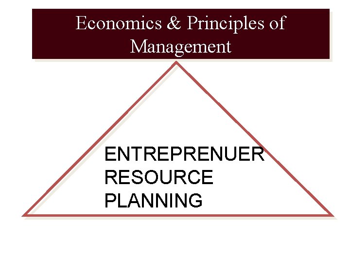 Economics & Principles of Management ENTREPRENUER RESOURCE PLANNING 
