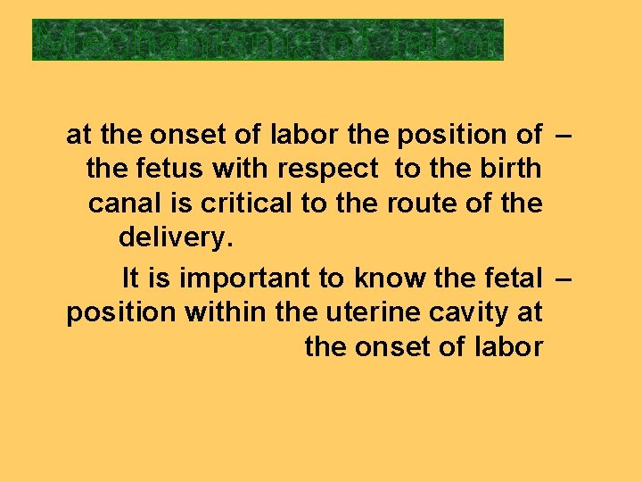 at the onset of labor the position of – the fetus with respect to