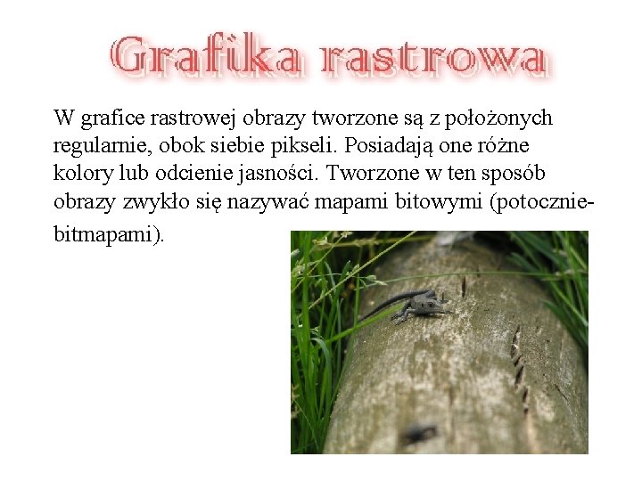 W grafice rastrowej obrazy tworzone są z położonych regularnie, obok siebie pikseli. Posiadają one