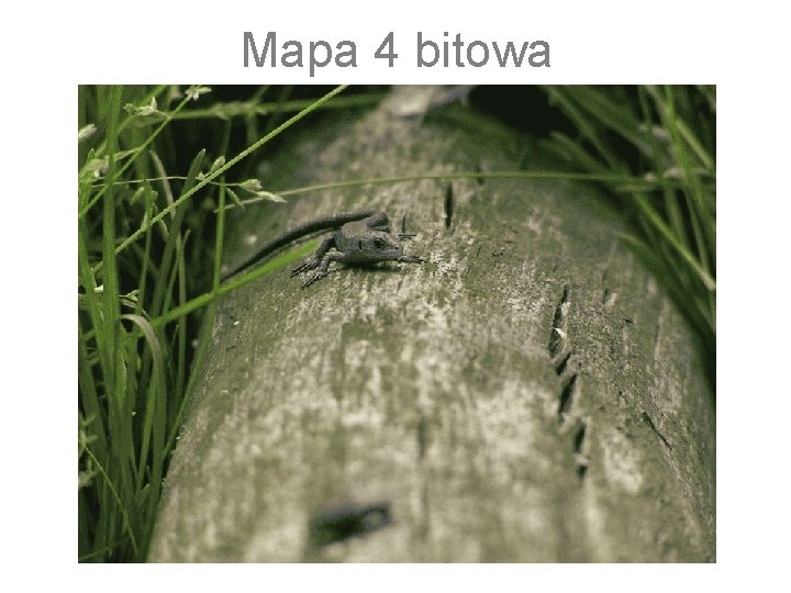 Mapa 4 bitowa 