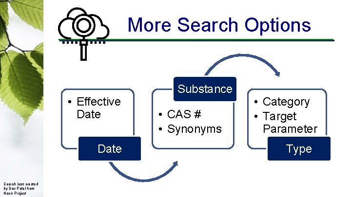 More Search Options • Effective Date Search icon created by Dev Patel from Noun