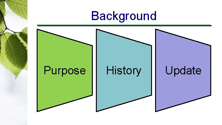 Background Purpose History Update 