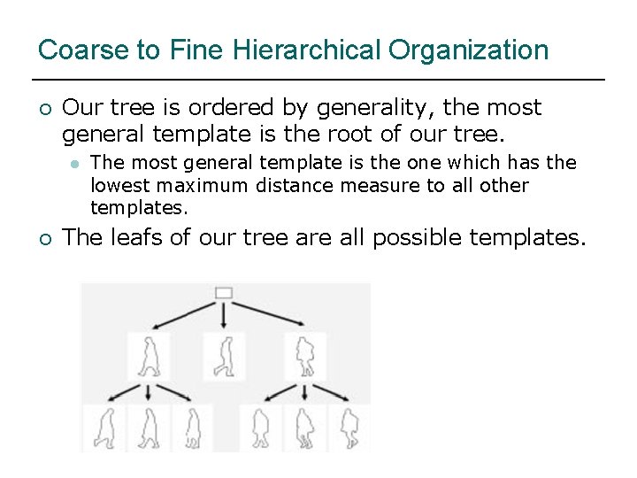Coarse to Fine Hierarchical Organization ¡ Our tree is ordered by generality, the most
