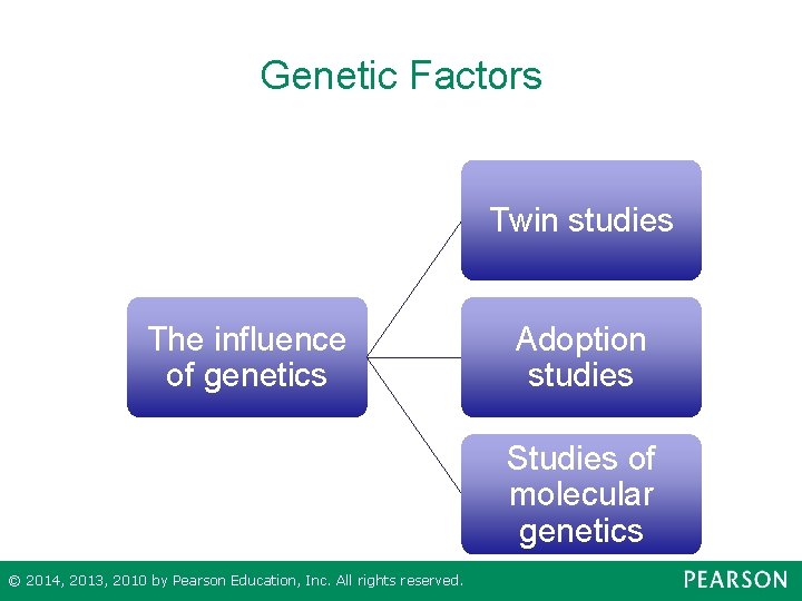 Genetic Factors Twin studies The influence of genetics Adoption studies Studies of molecular genetics