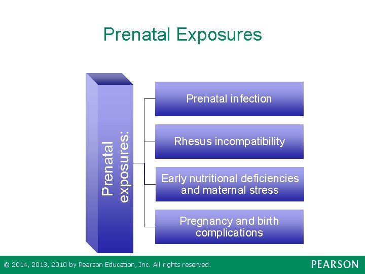 Prenatal Exposures Prenatal exposures: Prenatal infection Rhesus incompatibility Early nutritional deficiencies and maternal stress