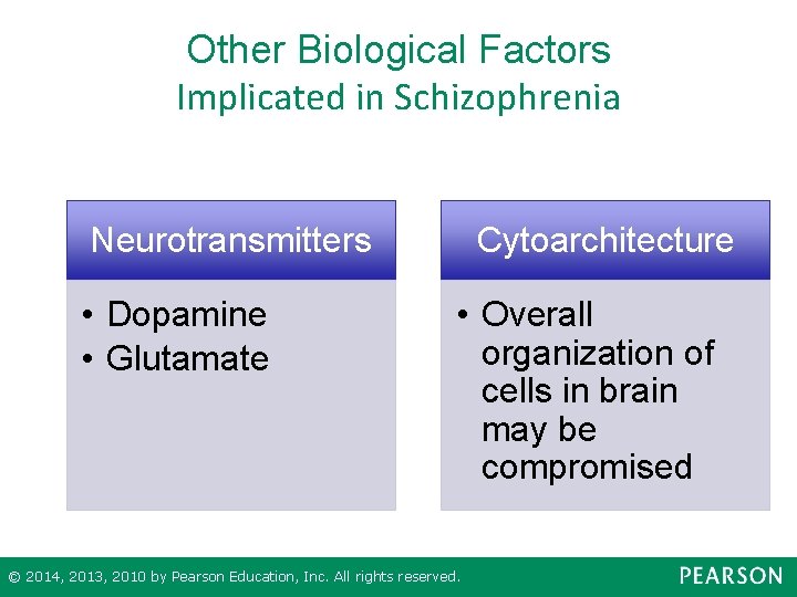 Other Biological Factors Implicated in Schizophrenia Neurotransmitters • Dopamine • Glutamate Cytoarchitecture • Overall