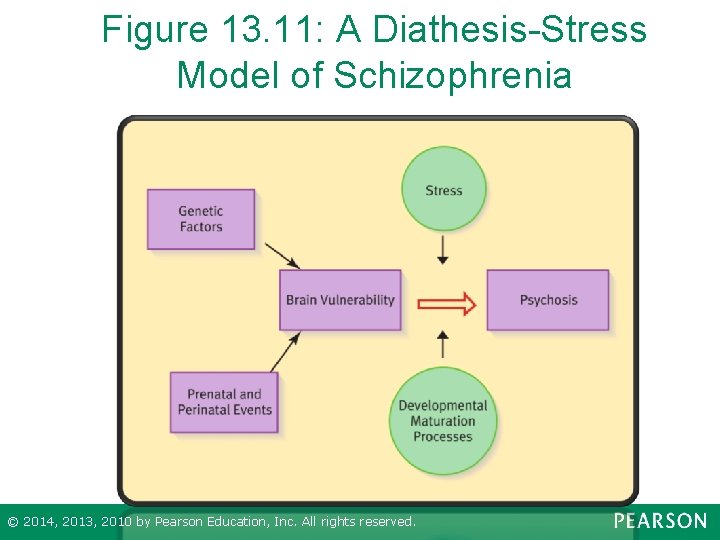 Figure 13. 11: A Diathesis-Stress Model of Schizophrenia © 2014, 2013, 2010 by Pearson