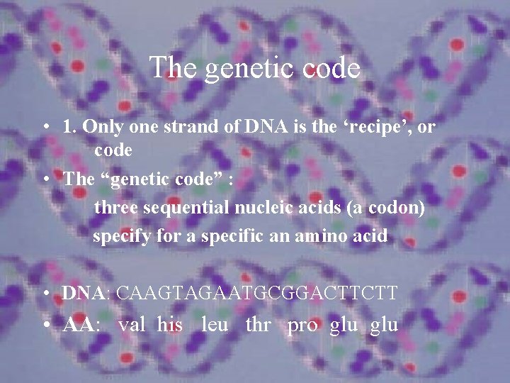 The genetic code • 1. Only one strand of DNA is the ‘recipe’, or
