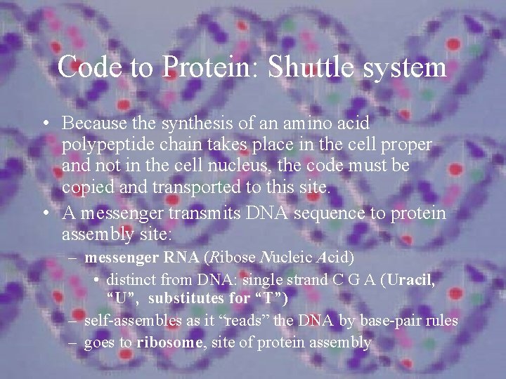 Code to Protein: Shuttle system • Because the synthesis of an amino acid polypeptide
