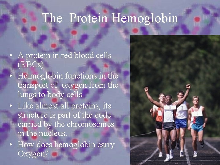 The Protein Hemoglobin • A protein in red blood cells (RBCs). • Helmoglobin functions