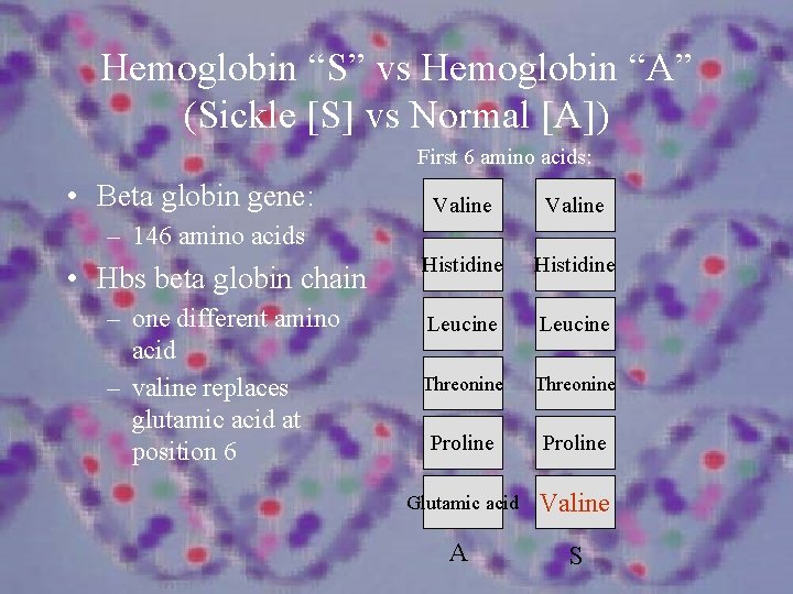Hemoglobin “S” vs Hemoglobin “A” (Sickle [S] vs Normal [A]) First 6 amino acids: