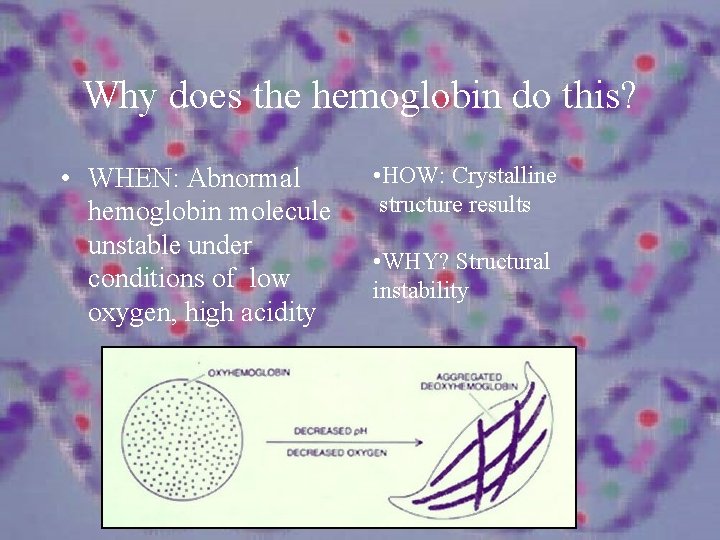Why does the hemoglobin do this? • WHEN: Abnormal hemoglobin molecule unstable under conditions