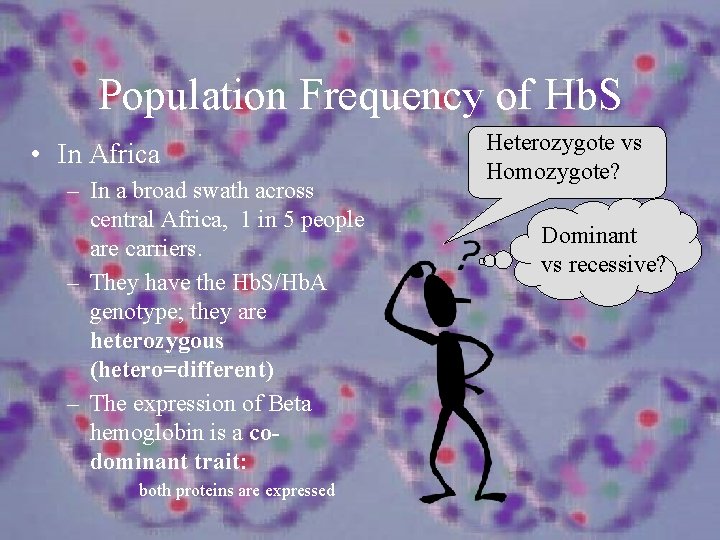 Population Frequency of Hb. S • In Africa – In a broad swath across