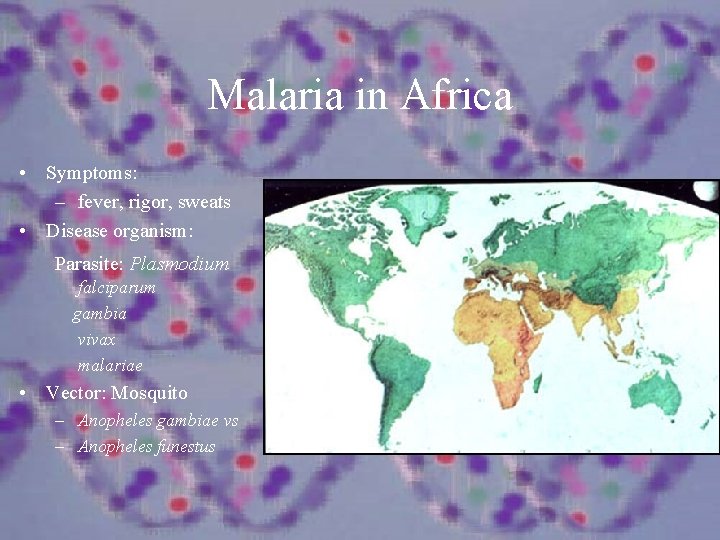Malaria in Africa • Symptoms: – fever, rigor, sweats • Disease organism: Parasite: Plasmodium