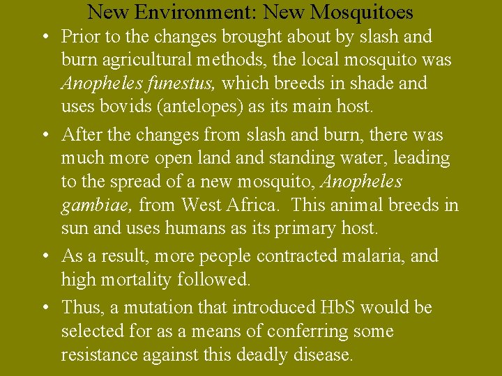 New Environment: New Mosquitoes • Prior to the changes brought about by slash and