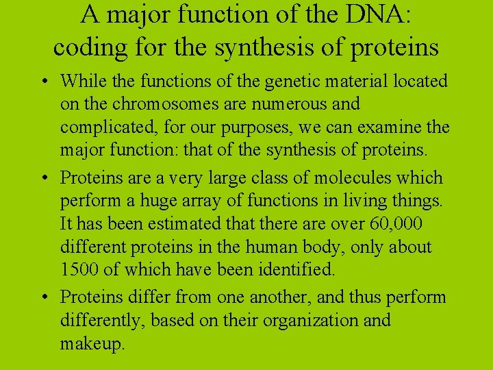 A major function of the DNA: coding for the synthesis of proteins • While